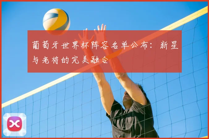 葡萄牙世界杯阵容名单公布：新星与老将的完美融合