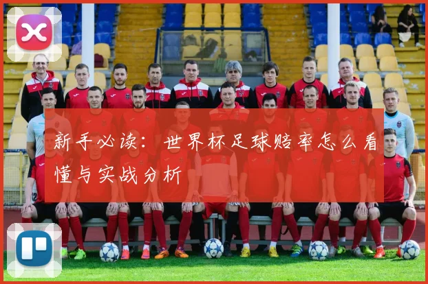 新手必读：世界杯足球赔率怎么看懂与实战分析