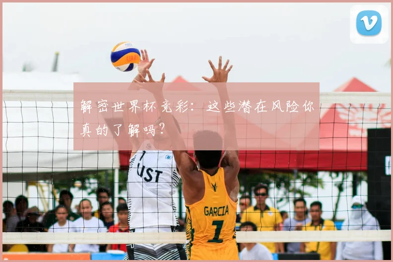 解密世界杯竞彩：这些潜在风险你真的了解吗？