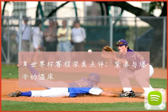 年世界杯赛程深度点评：紧凑与爆冷的温床