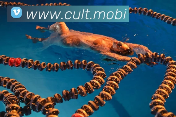 爱体育官网app下载平台生态图