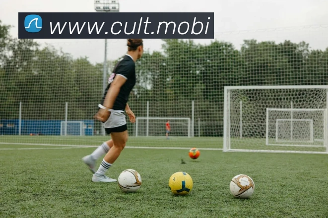 爱体育官网app下载APP 封面图